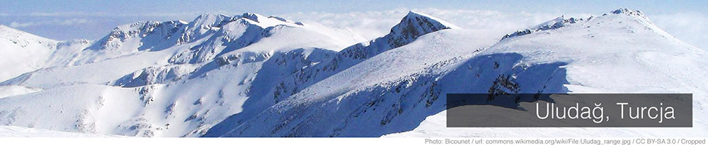 Bursa Bursa