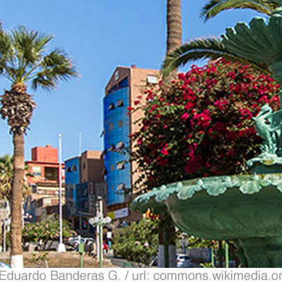 Arica