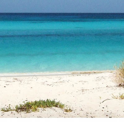 Barahona