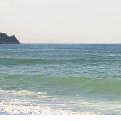 Byala