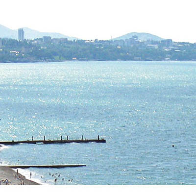 Dagomys