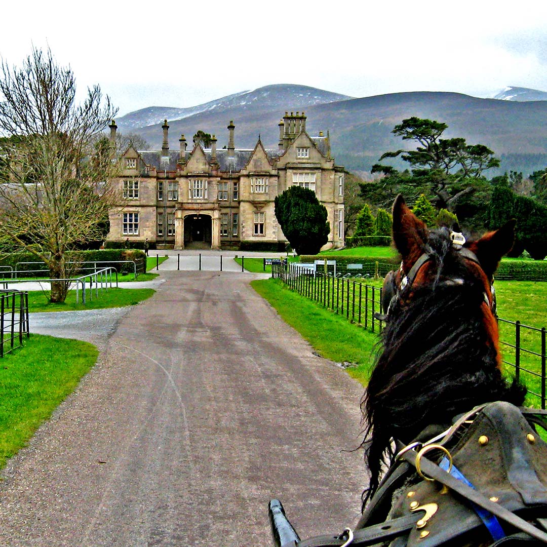 Kilkenny Kilkenny