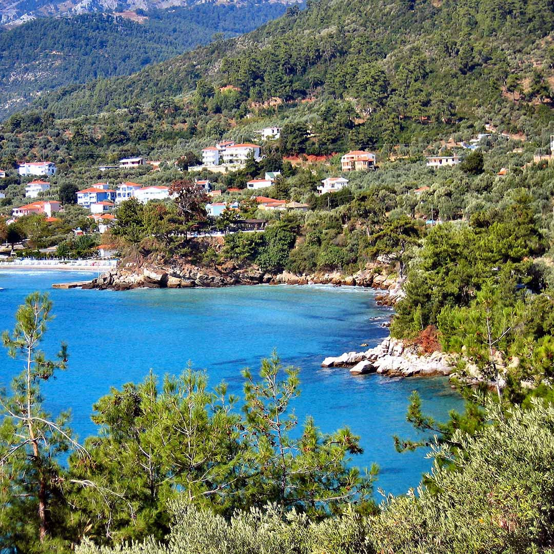 Tasos Tasos